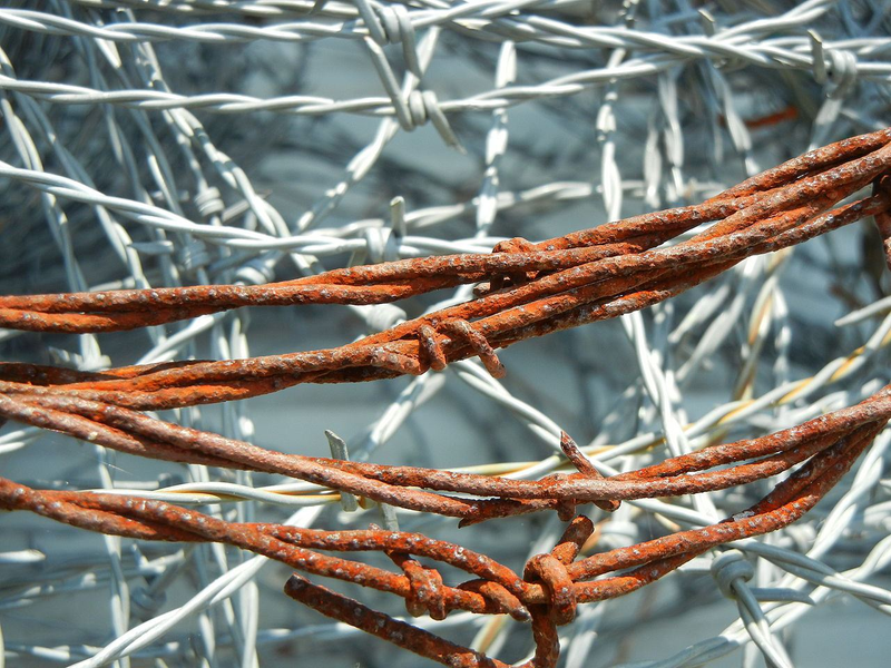 Illustration for article titled Barbed Wire's Dark, Deadly History